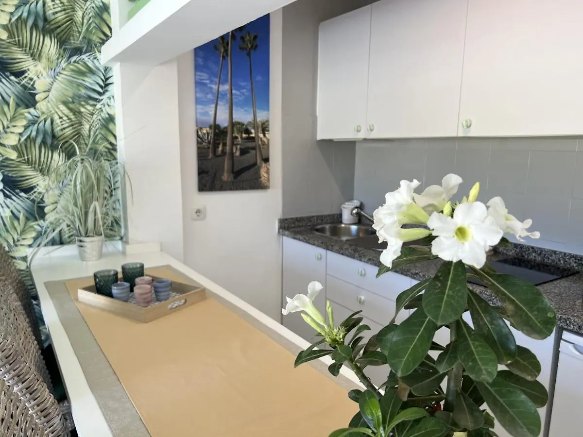 Atlantic Garden Andrew Apartments Pool Air Conditioning Corralejo